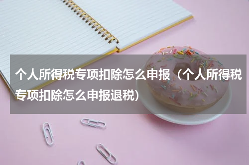 个人所得税专项扣除怎么申报（个人所得税专项扣除怎么申报退税）