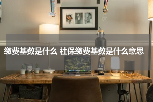 缴费基数是什么 社保缴费基数是什么意思