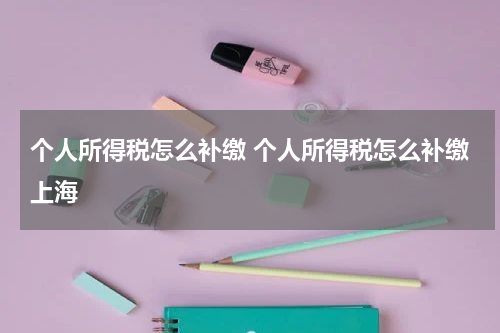 个人所得税怎么补缴 个人所得税怎么补缴上海