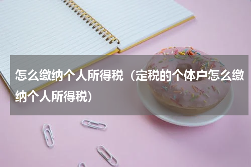 怎么缴纳个人所得税（定税的个体户怎么缴纳个人所得税）