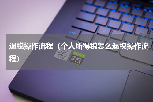 退税操作流程（个人所得税怎么退税操作流程）