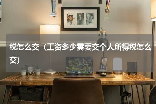 税怎么交(工资多少需要交个人所得税怎么交)