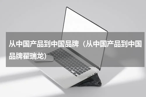 从中国产品到中国品牌（从中国产品到中国品牌翟瑞龙）