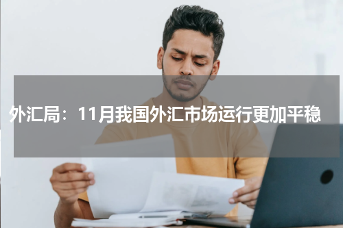 外汇局：11月我国外汇市场运行更加平稳