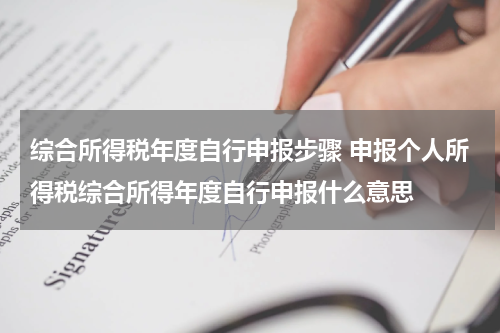 综合所得税年度自行申报步骤 申报个人所得税综合所得年度自行申报什么意思