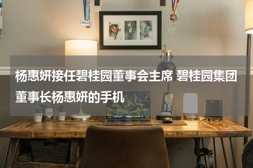 杨惠妍接任碧桂园董事会主席 碧桂园集团董事长杨惠妍的手机