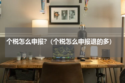 个税怎么申报?（个税怎么申报退的多）