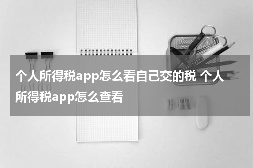 个人所得税app怎么看自己交的税 个人所得税app怎么查看
