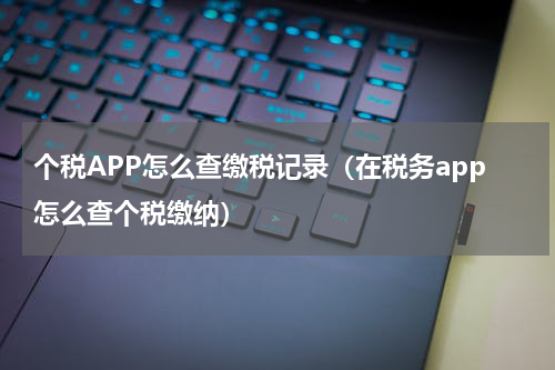个税APP怎么查缴税记录（在税务app怎么查个税缴纳）