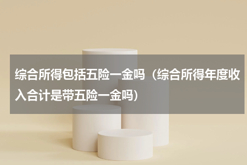 综合所得包括五险一金吗（综合所得年度收入合计是带五险一金吗）
