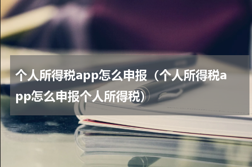 个人所得税app怎么申报（个人所得税app怎么申报个人所得税）