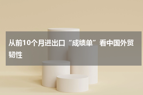 从前10个月进出口“成绩单”看中国外贸韧性
