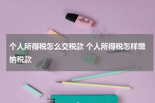 个人所得税怎么交税款 个人所得税怎样缴纳税款