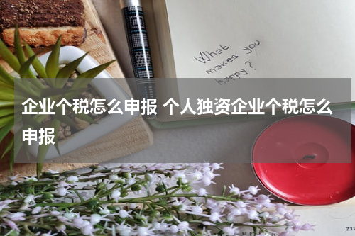 企业个税怎么申报 个人独资企业个税怎么申报