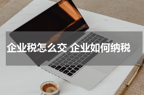 企业税怎么交 企业如何纳税