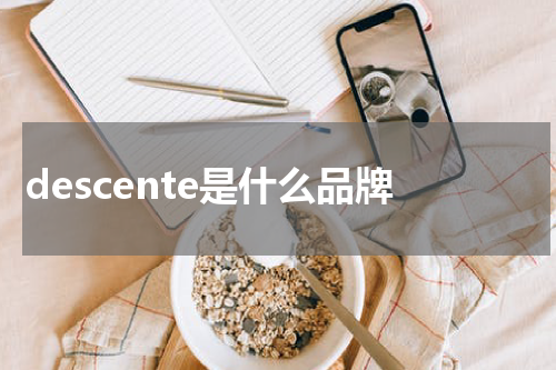 descente是什么品牌