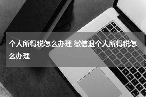 个人所得税怎么办理 微信退个人所得税怎么办理