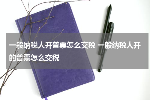 一般纳税人开普票怎么交税 一般纳税人开的普票怎么交税