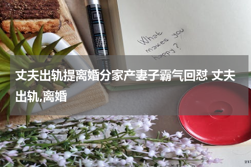 丈夫出轨提离婚分家产妻子霸气回怼 丈夫出轨,离婚