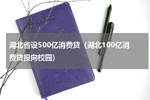 湖北省设500亿消费贷(湖北100亿消费贷投向校园)