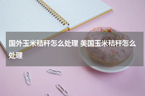 国外玉米秸秆怎么处理 美国玉米秸秆怎么处理