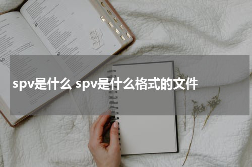 spv是什么 spv是什么格式的文件