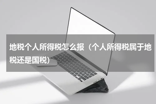 地税个人所得税怎么报（个人所得税属于地税还是国税）