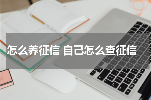 怎么养征信 自己怎么查征信