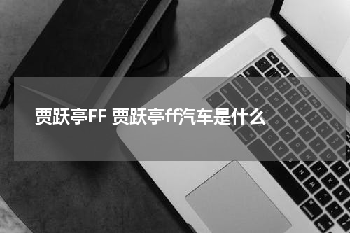 贾跃亭FF 贾跃亭ff汽车是什么