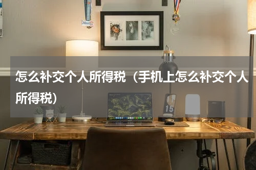 怎么补交个人所得税（手机上怎么补交个人所得税）