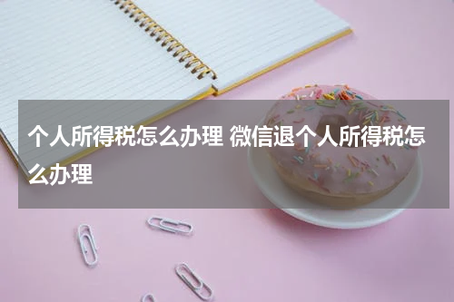 个人所得税怎么办理 微信退个人所得税怎么办理