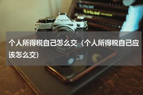 个人所得税自己怎么交(个人所得税自己应该怎么交)