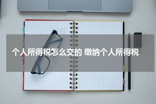 个人所得税怎么交的 缴纳个人所得税