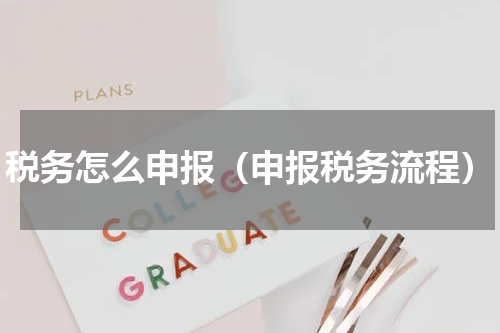 税务怎么申报（申报税务流程）