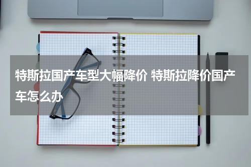 特斯拉国产车型大幅降价 特斯拉降价国产车怎么办