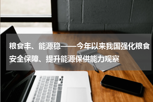 粮食丰、能源稳——今年以来我国强化粮食安全保障、提升能源保供能力观察
