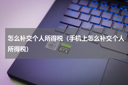 怎么补交个人所得税（手机上怎么补交个人所得税）