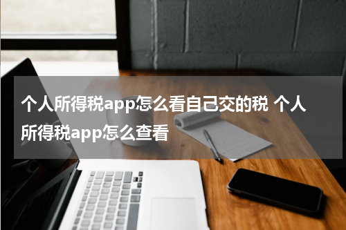 个人所得税app怎么看自己交的税 个人所得税app怎么查看