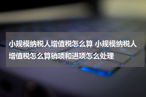 小规模纳税人增值税怎么算 小规模纳税人增值税怎么算销项和进项怎么处理