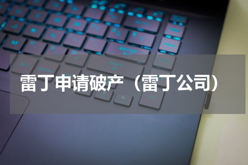 雷丁申请破产（雷丁公司）