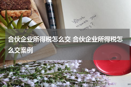 合伙企业所得税怎么交 合伙企业所得税怎么交案例