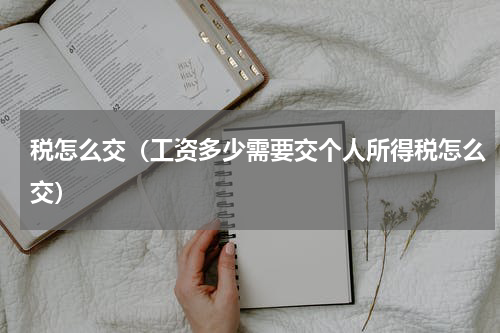 税怎么交(工资多少需要交个人所得税怎么交)