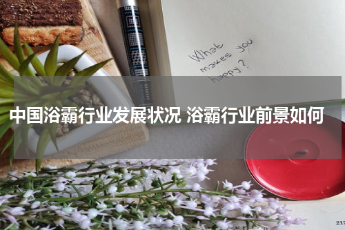 中国浴霸行业发展状况 浴霸行业前景如何