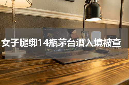 女子腿绑14瓶茅台酒入境被查