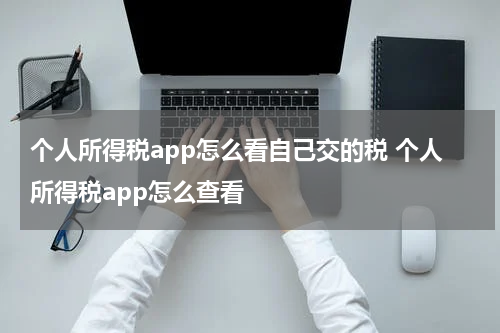 个人所得税app怎么看自己交的税 个人所得税app怎么查看