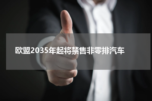 欧盟2035年起将禁售非零排汽车