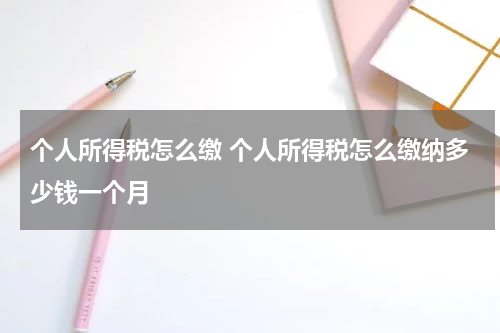 个人所得税怎么缴 个人所得税怎么缴纳多少钱一个月