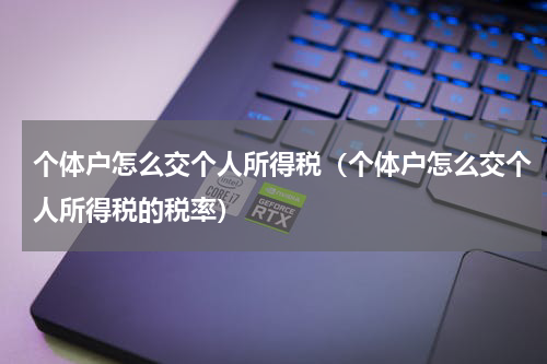 个体户怎么交个人所得税(个体户怎么交个人所得税的税率)