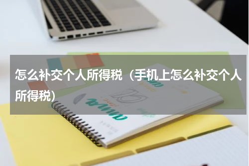 怎么补交个人所得税(手机上怎么补交个人所得税)