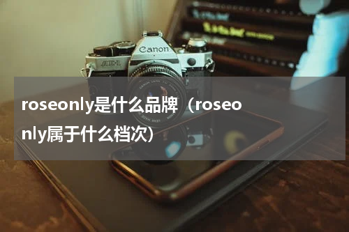 roseonly是什么品牌(roseonly属于什么档次)